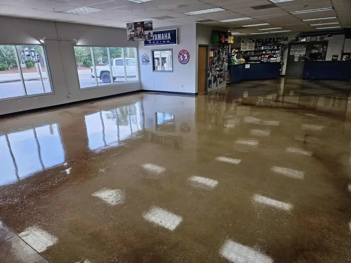 High-gloss stained concrete floor in a powersports showroom