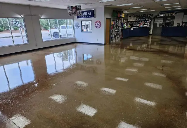 High-gloss stained concrete floor in a powersports showroom